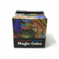 3-Pack Magic Cube Puzzle Collection (Pyraminx &amp; Magnetic Art)