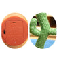 Dancing Cactus Toy – Singing, Talking & Light-Up Fun for Kids